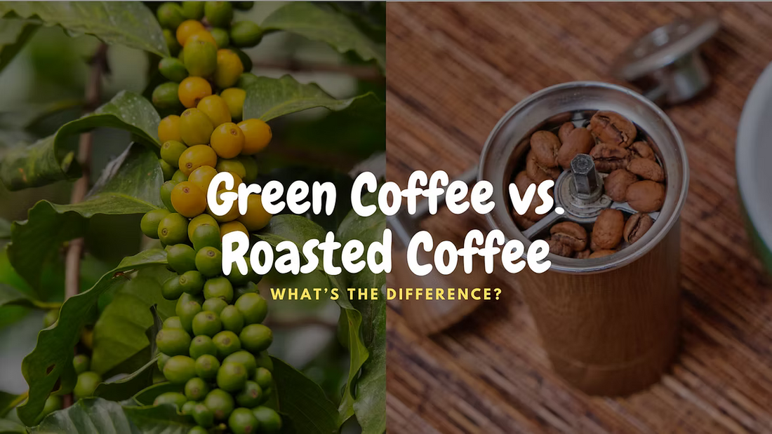 Green Coffee vs. Roasted Coffee: What’s the Difference?