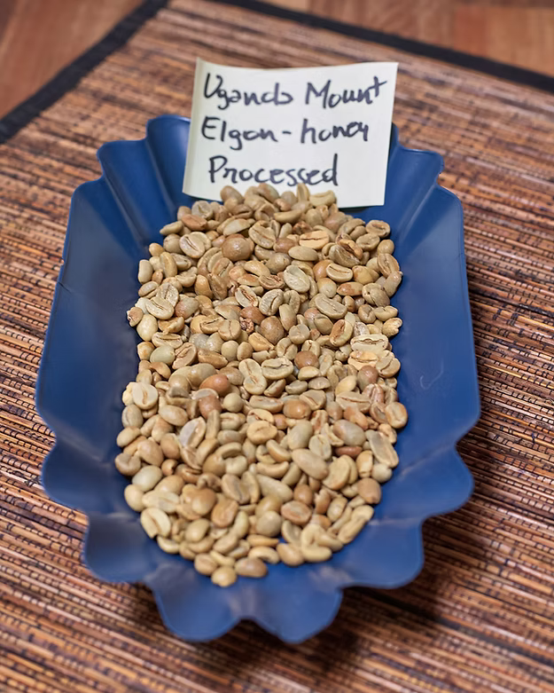 Uganda Bugisu Mount Elgon Green Bean